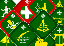 scouts de zwaluw badgen